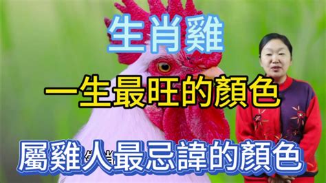 屬雞適合的顏色|屬雞人留意：這些顏色助你贏